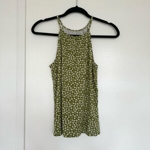 Fighting Eel Tank Size Small